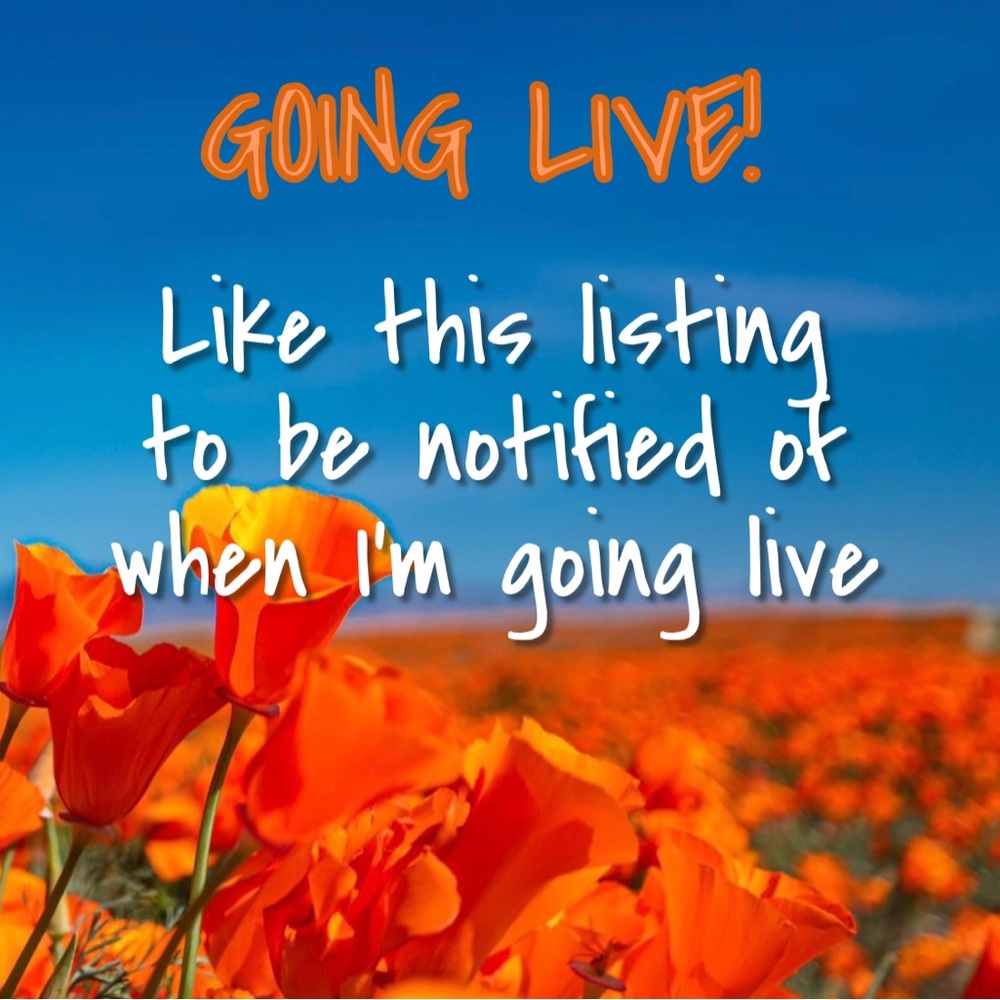 LIVE LISTING! 2/03 Alphabet Train Share Show โGโ 1 PM PST/4 PM EST. - Picture 13 of 15